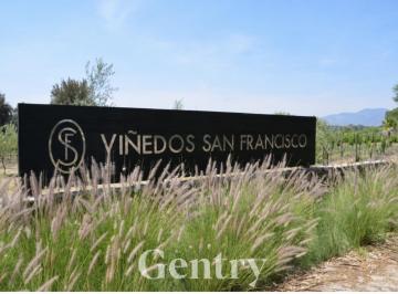 GENTRY QUERETARO · Terreno en Venta en Viñedos San Francisco