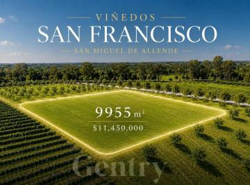 Terreno / Lote · 9955m² · Terreno en Venta en Viñedos San Francisco