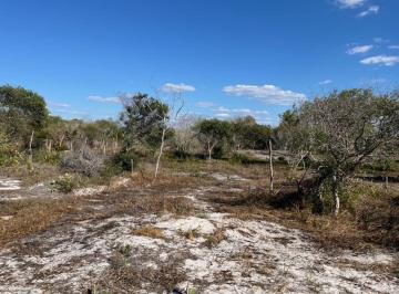 Terreno / Lote , Celestún · Terrenos en Oportunidad en Celestún, a Pasos de La Playa Oferta