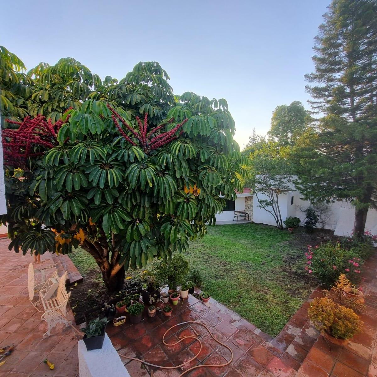 House for Sale in Loma Dorada - (4)