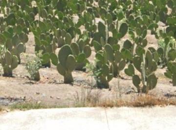 Terreno / Lote , San Andrés Cholula · B Atlixco y Periferico Propio Bodega