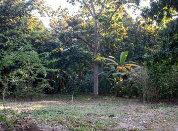 Terreno / Lote 17612m² Venta Rancho o rancheria San Antonio · Terreno Rústico de Regadío