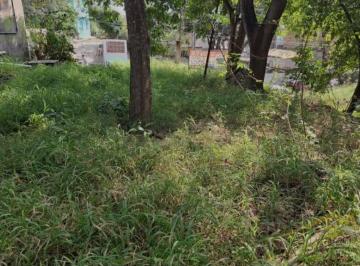 Terreno / Lote · 697m² · Terreno Zona Centro de Altamira, Tamaulipas 700 m²