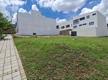 Terreno / Lote , San Andrés Cholula · Tereeno en Parque Palermo, Lomas de Angelópolis