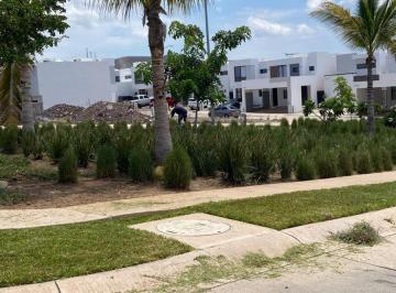 Terreno / Lote , Mazatlán · Oportunidad Frente Área Verde! Terreno en Venta Sonterra 2 Mazatlán.