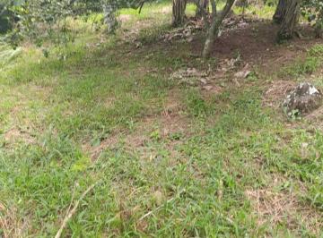 Terreno / Lote · 7500m² · Terreno en Rancho o Rancheria Plan Chico