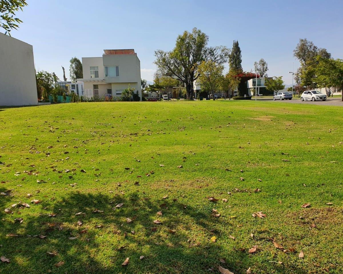 Land for Sale in Lago del Bosque, Zamora
