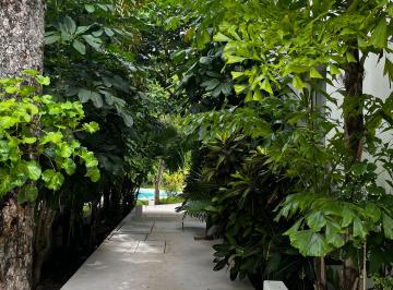 Departamento de 3 habitaciones, Solidaridad · El Verdadero Significado de Exclusividad: un Penthouse de Baja Densidad, Rodeado de Naturaleza