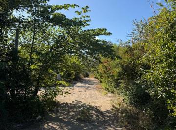 Terreno / Lote , Tulum · Terreno Baldío de 300 m²