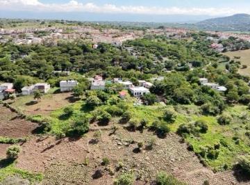 Terreno / Lote · 20362m² · Terreno - Francisco Villa