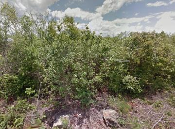 Terreno / Lote , Maní · Vendo Terreno en Paguitos Maní, Yucatán