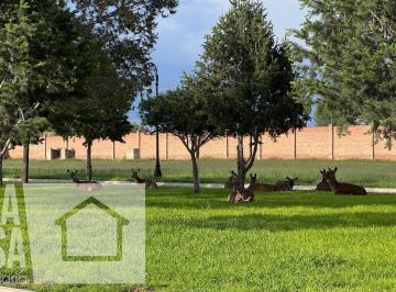 Terreno / Lote · 1301m² · Terreno en Rancho o Rancheria La Florida