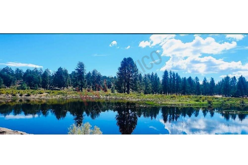 Rancho Laguinitas en Venta 20 Has en Tecate Baja California