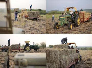 Rancho , Montemorelos · Rancho Productivo en Venta – 27 Hectáreas en El Nogalito, Montemorelos, Nuevo Le