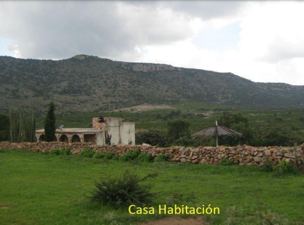 #venta 470ha a Pie de Carretera, Ojuelos de Jalisco