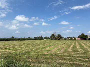 Terreno / Lote , Colón · Macrolote 6 Ha en Venta