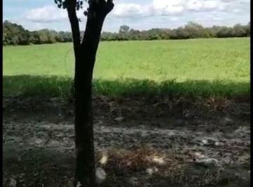 Terreno / Lote · Terreno en Venta 10 Hectáreas Industrial Agua Fría Apodaca Nuevo León.