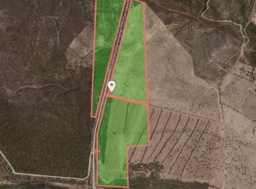 Terreno / Lote · Terreno en Venta de 40 Hectáreas Industrial Carretera Cadereyta Dr. González Nuevo León.