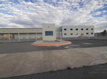 Bodega comercial · 10000m² · Bodega en Renta de 10000 m en Parque Industrial Saltillo Coahuila