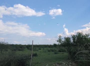 Terreno / Lote · 80000ha · Terreno en Venta de 8 Hectáreas Industrial Carretera Reynosa Cadereyta Nuevo León.
