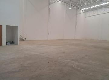 Bodega comercial · 800m² · Bodega en Renta 800 m Salinas Victoria Nuevo León.