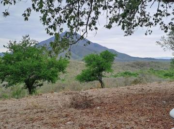 Terreno / Lote · 11980m² · Terreno en Venta de 11980 m Campestre Allende Nuevo León.