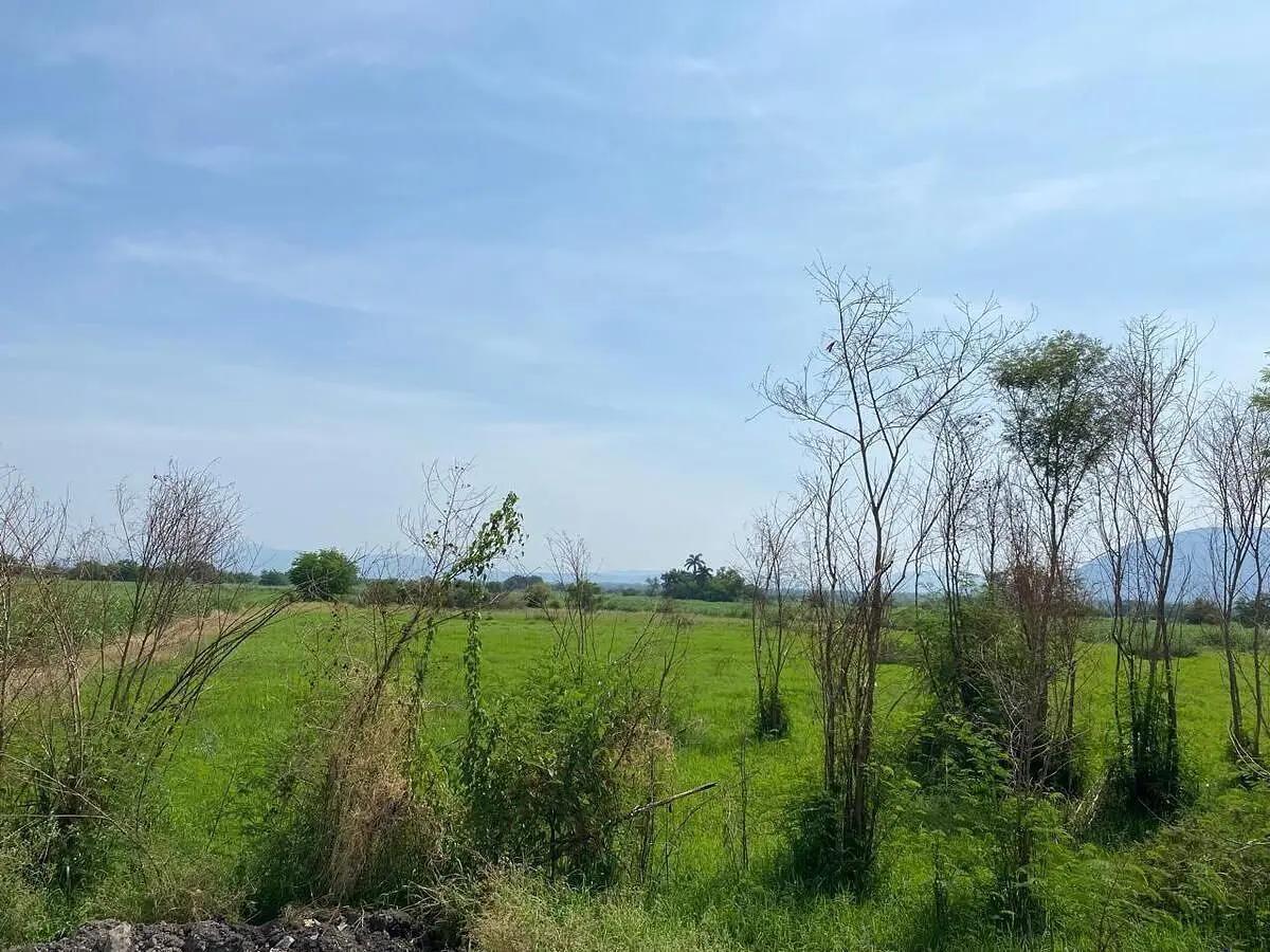 Land in Jojutla City Center
