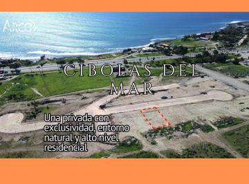 Terreno / Lote , Ensenada · Terreno en Venta Cíbolas del Mar