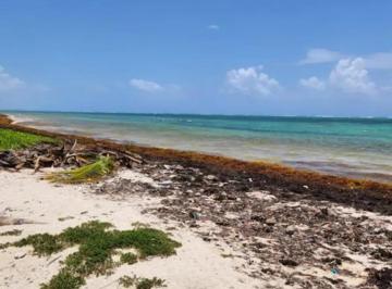 1 · Terreno en Venta Mahahual, La Casona, Frente Al Mar