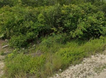 Terreno / Lote , Tulum · Hectarea en Venta Jacinto Pat