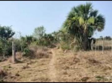 Terreno / Lote , Tlalixcoyan · Terreno Para Ganaderia