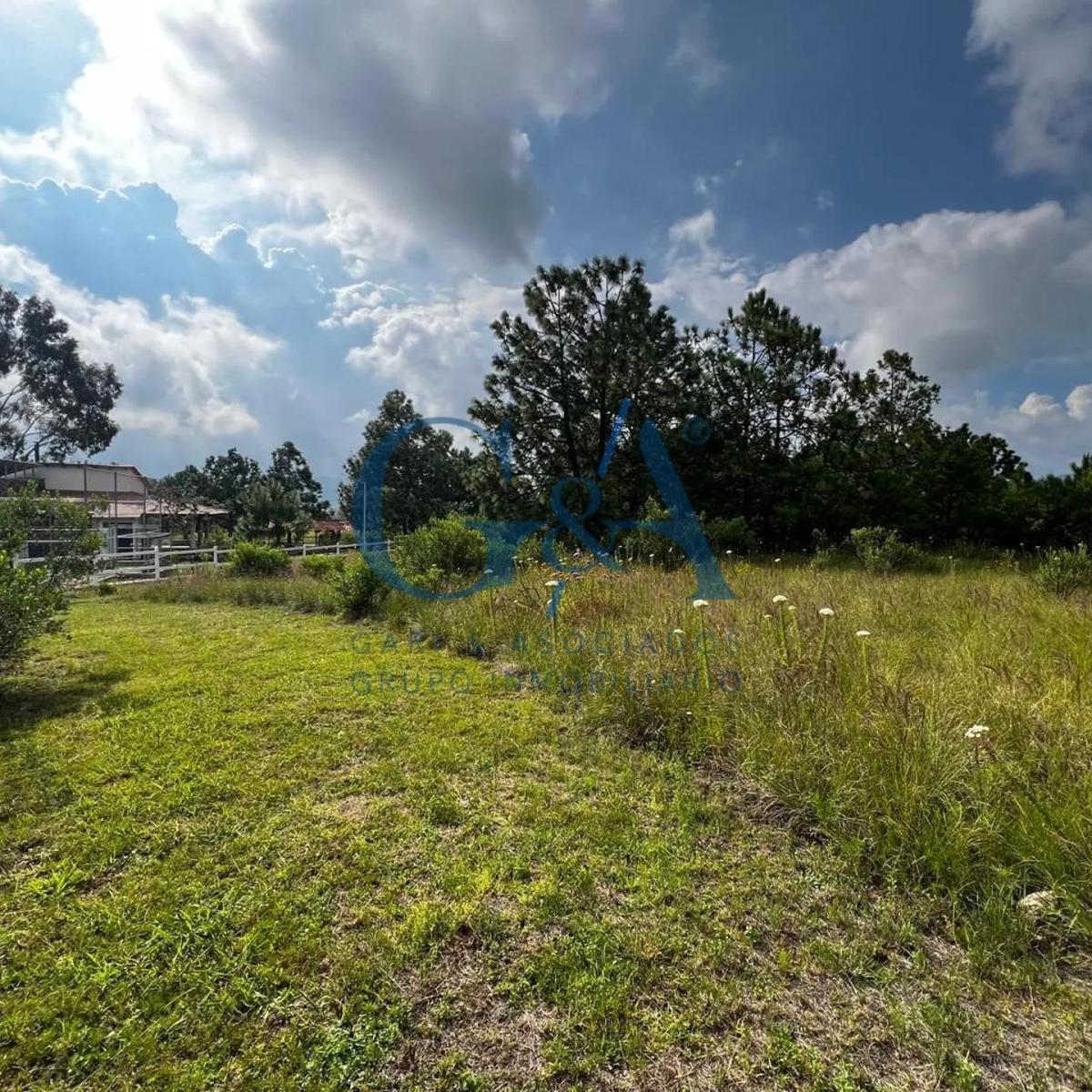 Land for Sale in Tapalpa