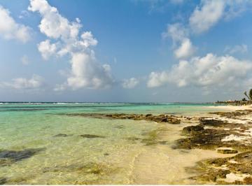 MAHAHUAL · Terreno Camino Mahahual - Punta Herrero Quintana Roo