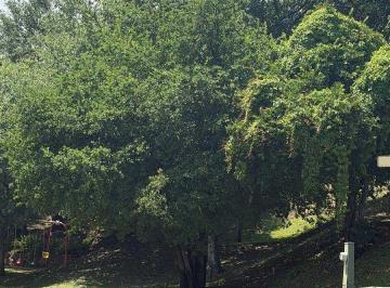 Terreno / Lote · 1586m² · Hermoso Terreno en Venta - Privada Vallealto