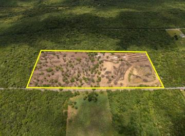Terreno / Lote , Montemorelos · Terreno en Venta en Montemorelos