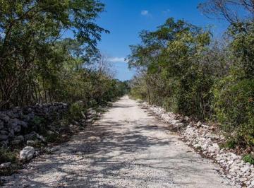 Terreno / Lote , Hunucmá · Terreno de 300 m² en Venta en Hunucmá