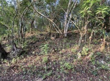 Terreno / Lote en Venta Rancho o rancheria San Jose Del Pacifico · Terreno en San José del Pacífico