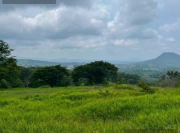 Terreno / Lote · 50000m² · Terreno - Pueblo San Marcos de Leon