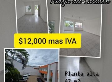 Oficina , Solidaridad · Oficina en Renta en Playa del Carmen