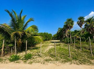 Terreno / Lote · 427m² · Venta de Terreno en Holbox