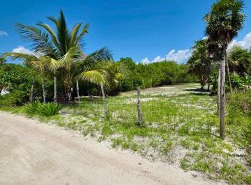 Terreno / Lote · 427m² · Venta de Terreno en Holbox