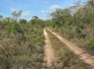 5ca4e25b80abef88e081371fe82dcc0546534cc1f62aa11fbabcb49de3df1fc4 · ¡Rancho en Venta! Tizimin, Yucatán.