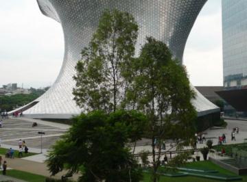 Departamento de 2 habitaciones, Miguel Hidalgo · Renta Plaza Carso