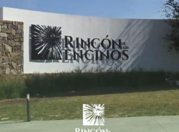 Terreno / Lote , Saltillo · Terreno en Venta en Rincón de Los Encinos
