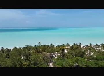 Terreno / Lote · 15000m² · Terreno Beach Front en Punta Allen Tulum Quintana Roo