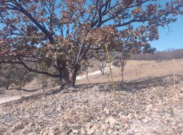 Terreno / Lote , Zapopan · Terreno Ecologico Campestre en Milpillas Zapopan