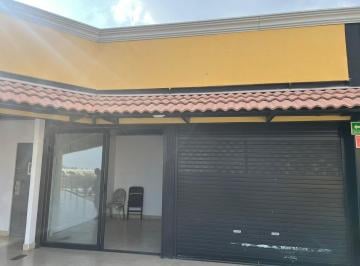 Local comercial · 39m² · En Renta Local en Planta Alta en Real Solare. - (4)