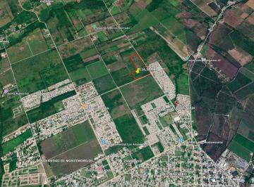 Terreno / Lote · 116388m² · Terreno en Venta en Montemorelos, Camino Al Pilón Viejo