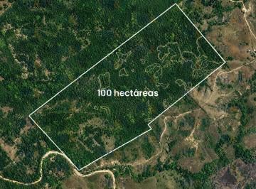 Rancho · 1000000ha · Rancho Eucalipto Oaxaca en Venta