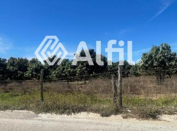 Terreno / Lote , Tepic · Terreno Agrícola en Venta – Tondoroque, Bahía de Banderas, Nayarit